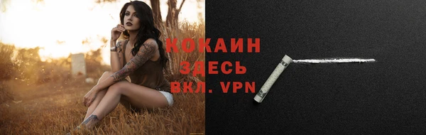 молекула духа Гусев