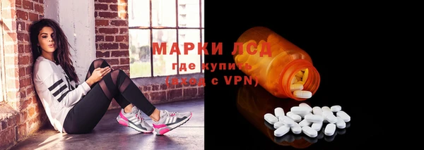 молекула духа Гусев