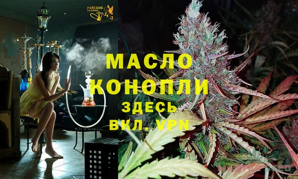 молекула духа Гусев