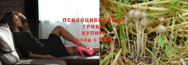 гидропоника Гусь-Хрустальный