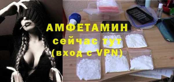 молекула духа Гусев