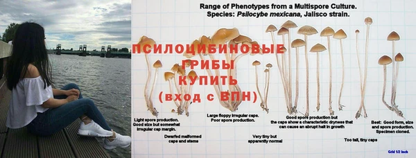 гидропоника Гусь-Хрустальный