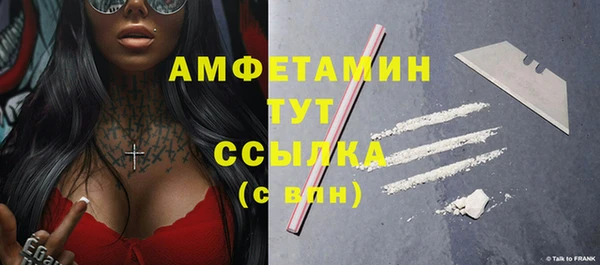 молекула духа Гусев